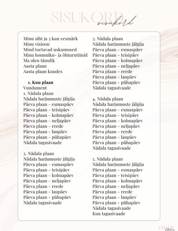 digitaalne planeerimismärkmik