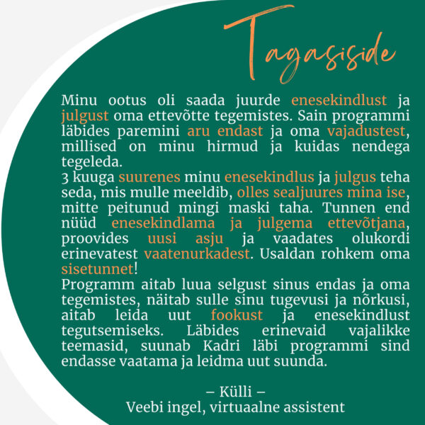 Coachingu ja mentorlusega grupiprogramm "Järgmise taseme mina ettevõtjana" alustab 22.09 - Image 6
